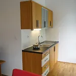 Sneznik Castle Estate 3* Stari Trg pri Lozu